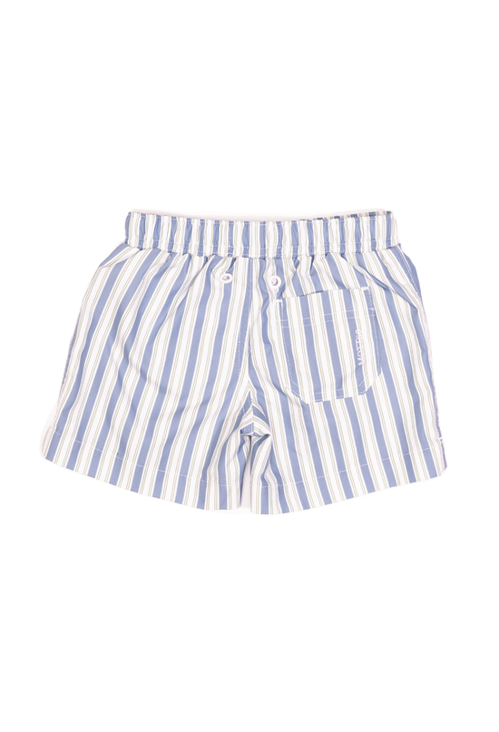 Mini Major Trunk, Blue Mist Stripe