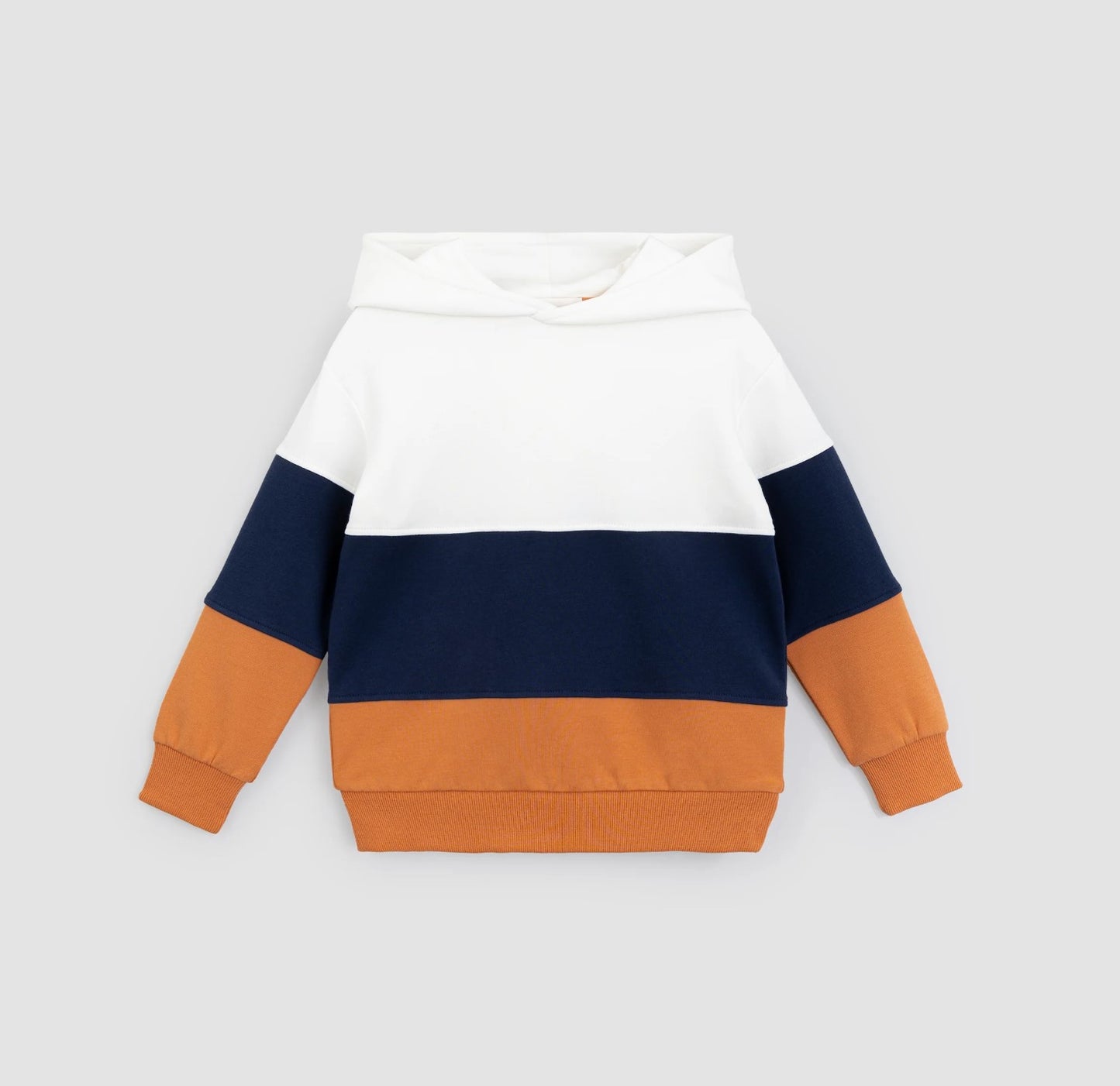 Colorblocked Hoodie