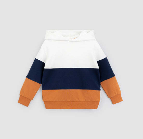 Colorblocked Hoodie